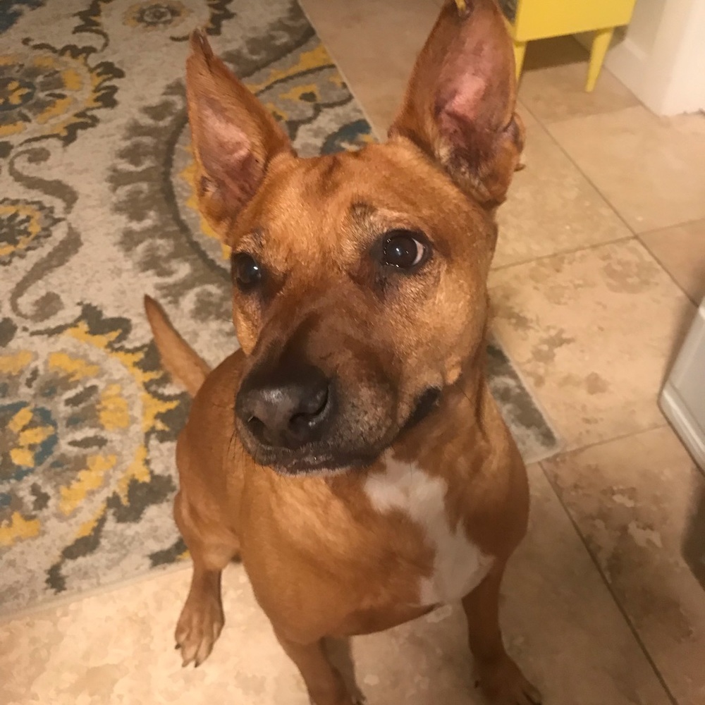 Meet your Posher, Aly